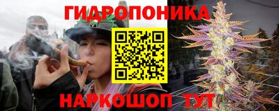 гидра Лесосибирск