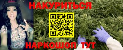 гидра Лесосибирск
