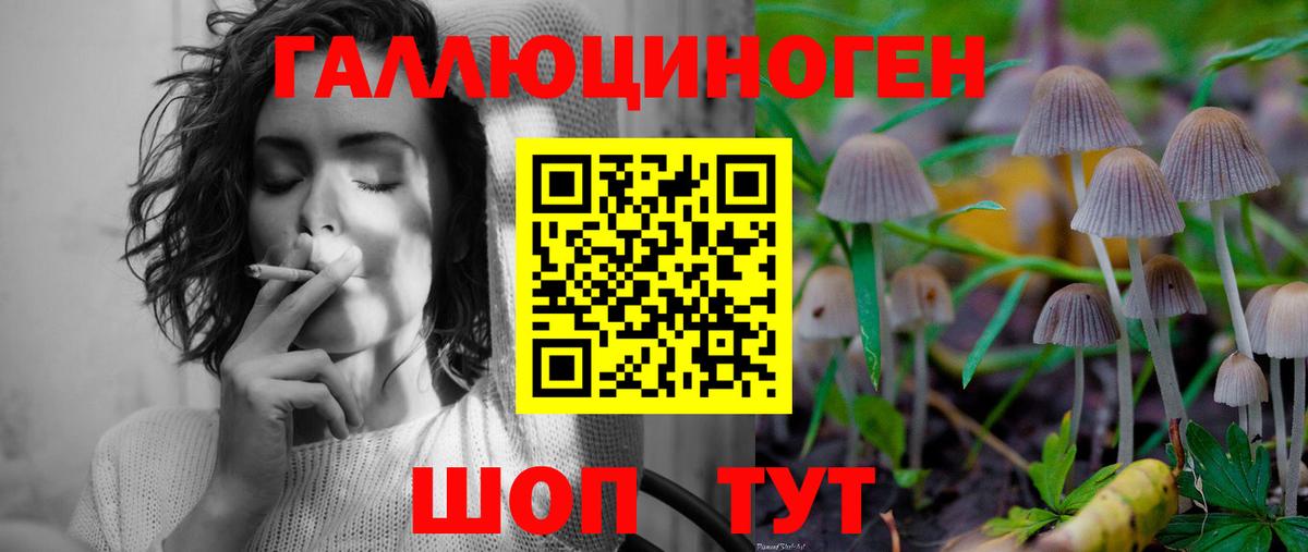 Ейск  Псилоцибиновые грибы прущие грибы  Вход с VPN 